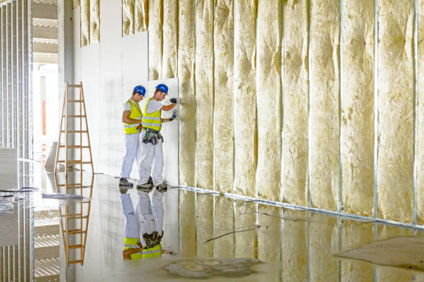 Best Spray Foam Insulation in Oildale, CA